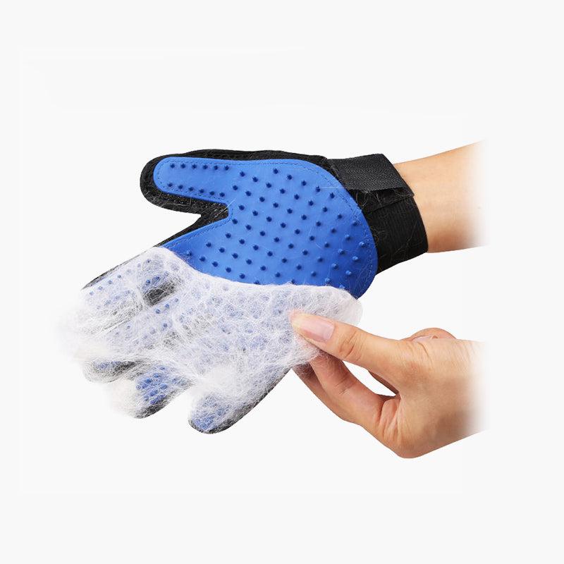 Pet cleaning orders gloves