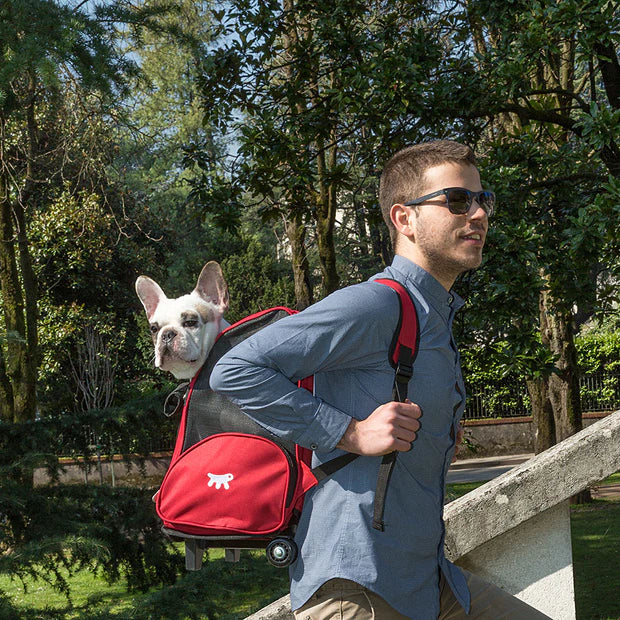 Trolley para gatos o perros de talla pequeña