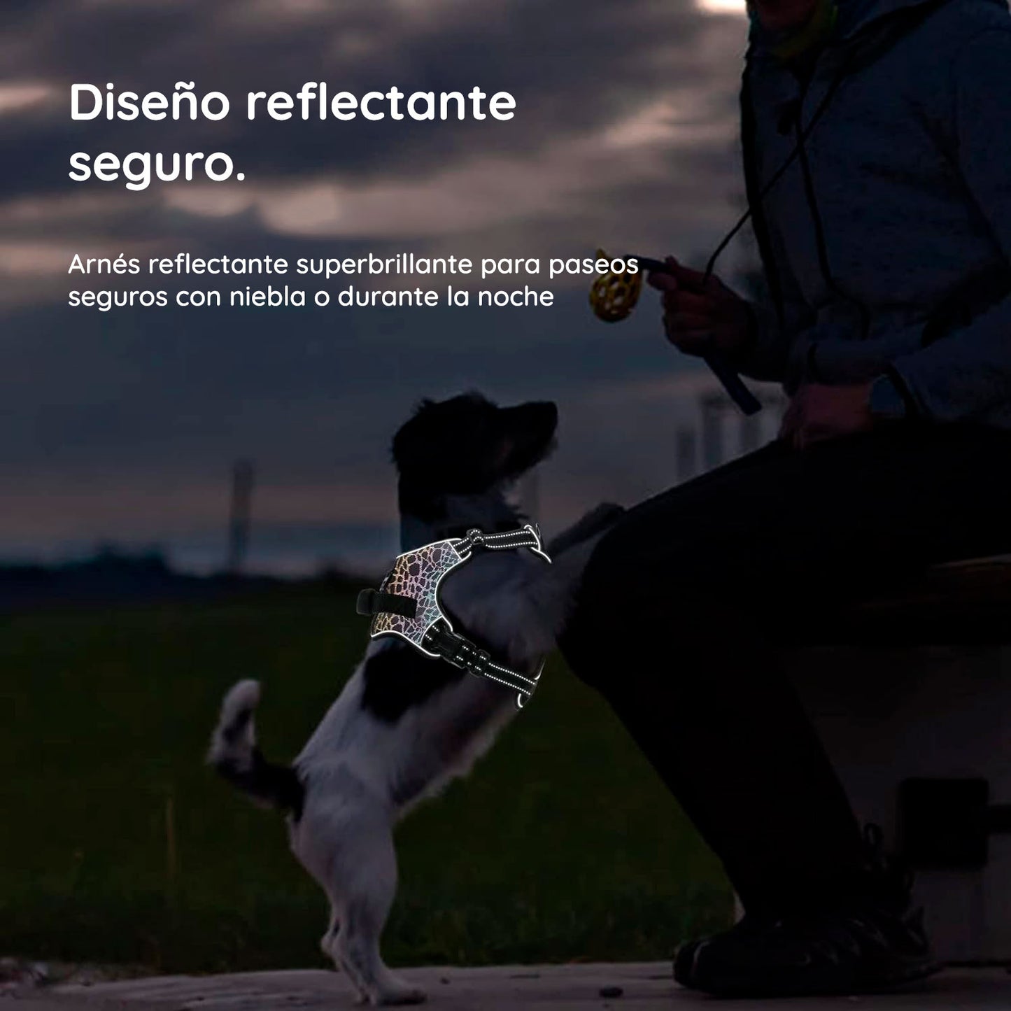 Arnés para perros sin tirar